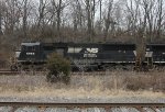 NS 6968 leading K40